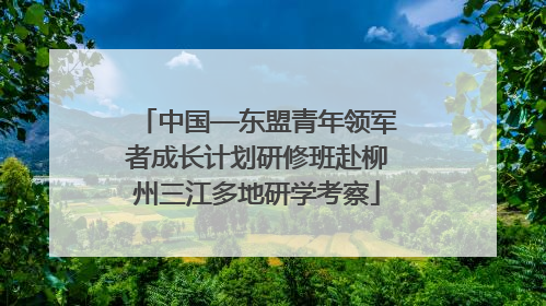 中国—东盟青年领军者成长计划研修班赴柳州三江多地研学考察
