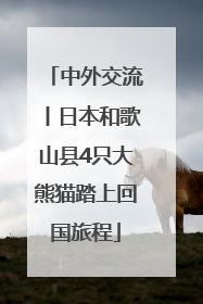 中外交流丨日本和歌山县4只大熊猫踏上回国旅程