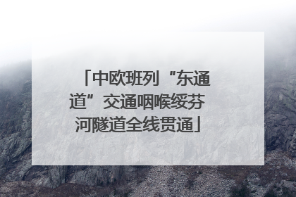 中欧班列“东通道”交通咽喉绥芬河隧道全线贯通