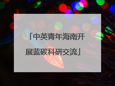 中英青年海南开展蓝碳科研交流