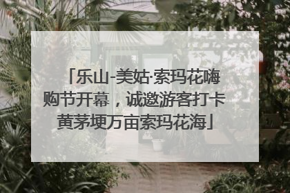 乐山-美姑·索玛花嗨购节开幕，诚邀游客打卡黄茅埂万亩索玛花海