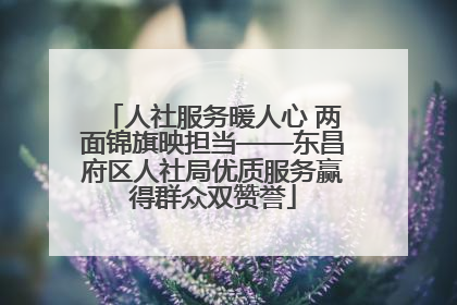 人社服务暖人心 两面锦旗映担当——东昌府区人社局优质服务赢得群众双赞誉