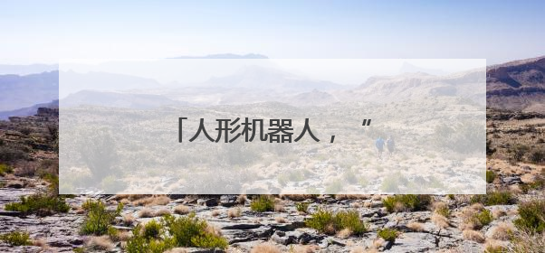 人形机器人，“打”起来了！