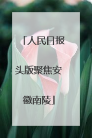 人民日报头版聚焦安徽南陵