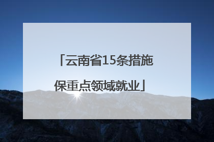 云南省15条措施保重点领域就业