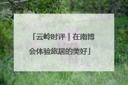 云岭时评｜在南博会体验旅居的美好