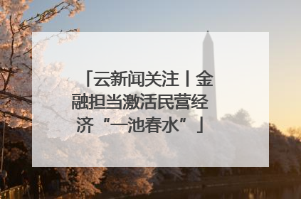 云新闻关注丨金融担当激活民营经济“一池春水”