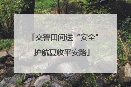 交警田间送“安全” 护航夏收平安路