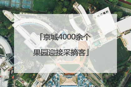 京城4000余个果园迎接采摘客