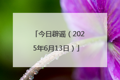今日辟谣（2025年6月13日）