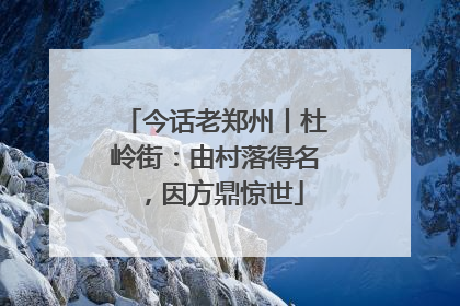 今话老郑州丨杜岭街：由村落得名，因方鼎惊世