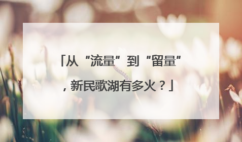 从“流量”到“留量”，新民歌湖有多火？