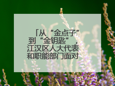 从“金点子”到“金钥匙”，江汉区人大代表和职能部门面对面解企业难题