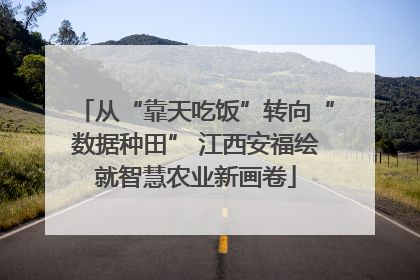 从“靠天吃饭”转向“数据种田” 江西安福绘就智慧农业新画卷