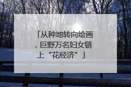 从种地转向绘画，巨野万名妇女链上“花经济”
