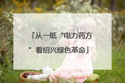 从一纸“电力药方”看绍兴绿色革命
