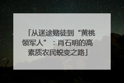 从迷途赌徒到“黄桃领军人”：肖石明的高素质农民蜕变之路