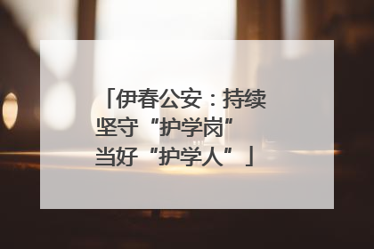 伊春公安：持续坚守“护学岗” 当好“护学人”