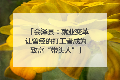 会泽县：就业变革让曾经的打工者成为致富“带头人”