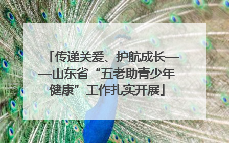 传递关爱、护航成长——山东省“五老助青少年健康”工作扎实开展