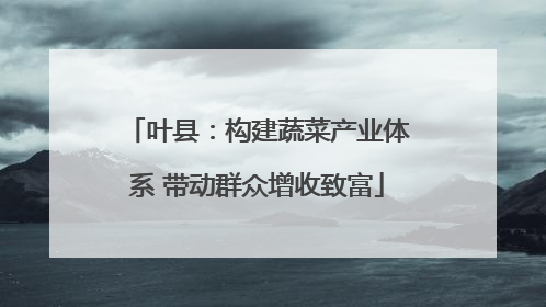 叶县：构建蔬菜产业体系 带动群众增收致富