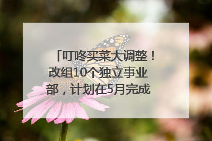 叮咚买菜大调整！改组10个独立事业部，计划在5月完成App端全面改版