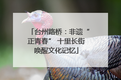 台州路桥：非遗“正青春” 十里长街唤醒文化记忆