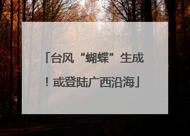 台风“蝴蝶”生成！或登陆广西沿海