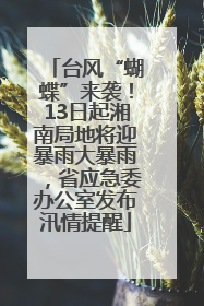 台风“蝴蝶”来袭！13日起湘南局地将迎暴雨大暴雨，省应急委办公室发布汛情提醒