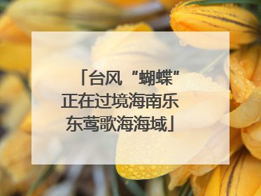 台风“蝴蝶”正在过境海南乐东莺歌海海域