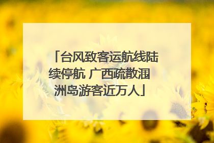 台风致客运航线陆续停航 广西疏散涠洲岛游客近万人