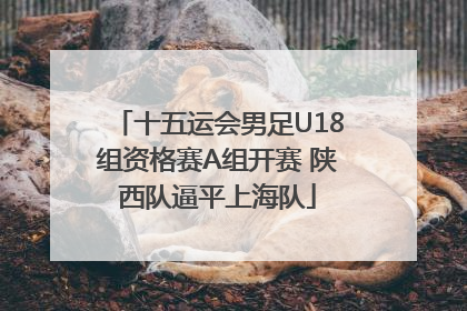 十五运会男足U18组资格赛A组开赛 陕西队逼平上海队