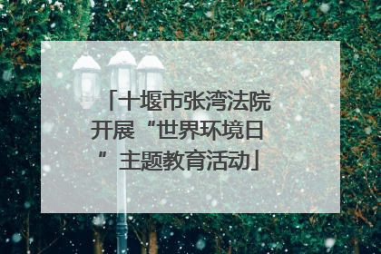 十堰市张湾法院开展“世界环境日”主题教育活动