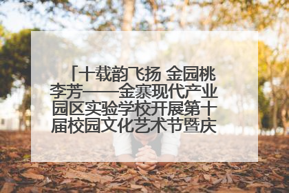十载韵飞扬 金园桃李芳——金寨现代产业园区实验学校开展第十届校园文化艺术节暨庆“六一”系列活动