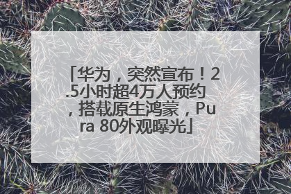 华为，突然宣布！2.5小时超4万人预约，搭载原生鸿蒙，Pura 80外观曝光