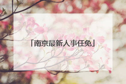 南京最新人事任免