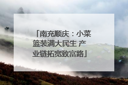 南充顺庆：小菜篮装满大民生 产业链拓宽致富路