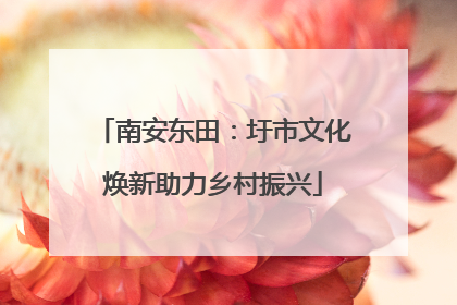 南安东田：圩市文化焕新助力乡村振兴
