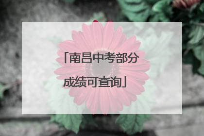南昌中考部分成绩可查询