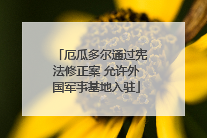 厄瓜多尔通过宪法修正案 允许外国军事基地入驻