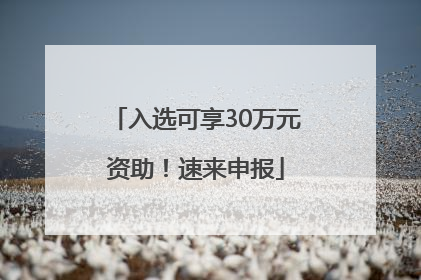 入选可享30万元资助！速来申报