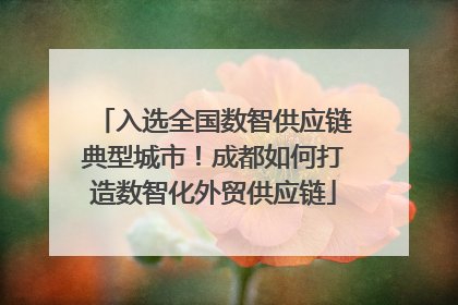 入选全国数智供应链典型城市！成都如何打造数智化外贸供应链