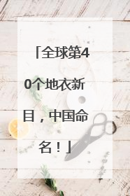 全球第40个地衣新目，中国命名！