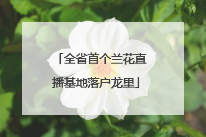 全省首个兰花直播基地落户龙里