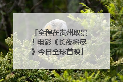全程在贵州取景！电影《长夜将尽》今日全球首映