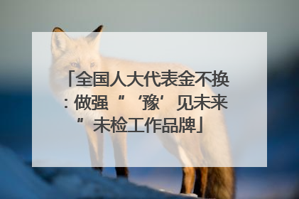 全国人大代表金不换：做强“‘豫’见未来”未检工作品牌