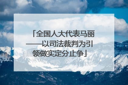全国人大代表马丽——以司法裁判为引领做实定分止争