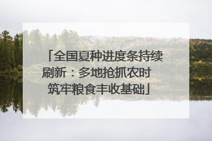 全国夏种进度条持续刷新：多地抢抓农时 筑牢粮食丰收基础