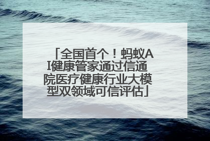 全国首个！蚂蚁AI健康管家通过信通院医疗健康行业大模型双领域可信评估