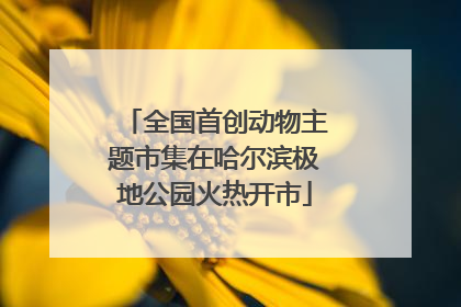 全国首创动物主题市集在哈尔滨极地公园火热开市